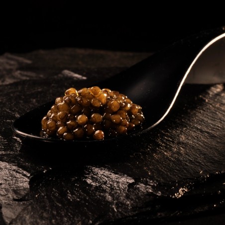 Caviar osciètre Impérial 100g | Philippe Rochat